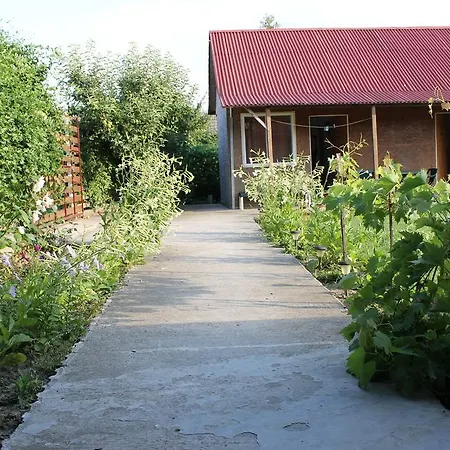 Jaktstuga Casa Anthonyo Andres Corbu (Constanta)