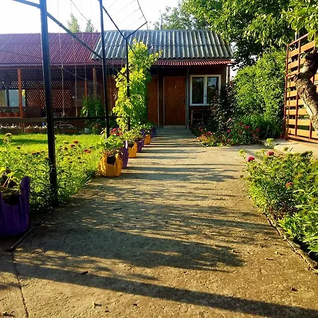 Casa Anthonyo Andres 山林小屋 科尔布