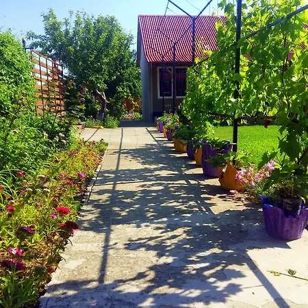 Casa Anthonyo Andres 山林小屋 *